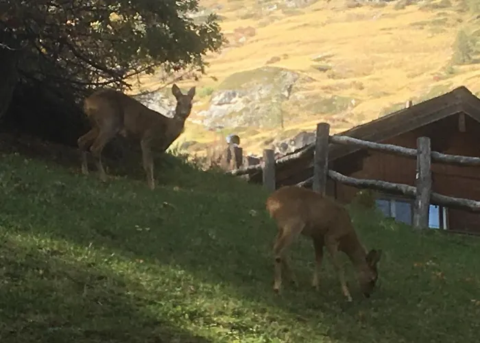 Balma 3 Near Gondelbahn Appartement *