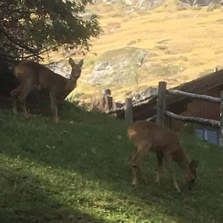 Balma 3 Διαμέρισμα *