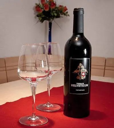 Balma 3 Daire Zermatt